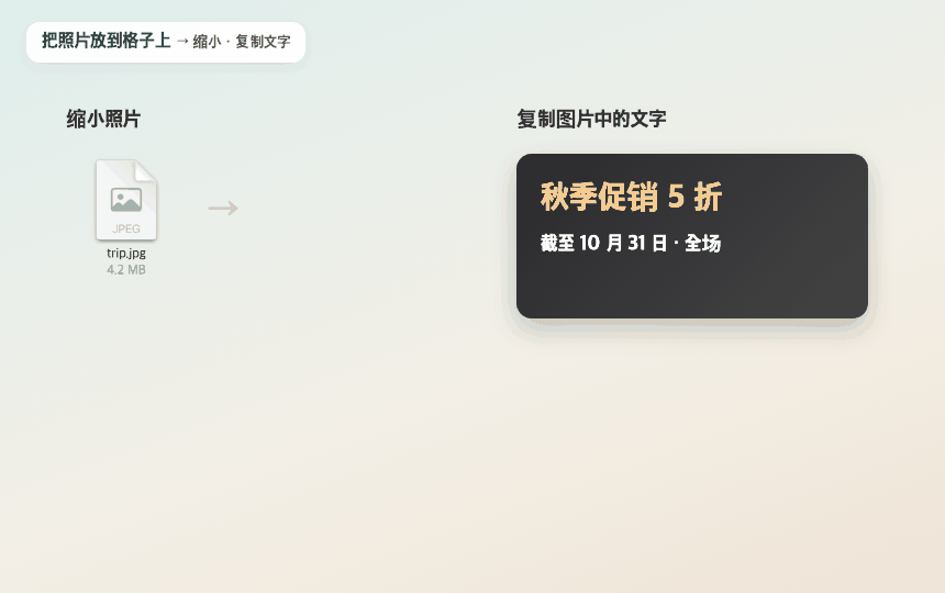 缩小照片 · 复制图片中的文字