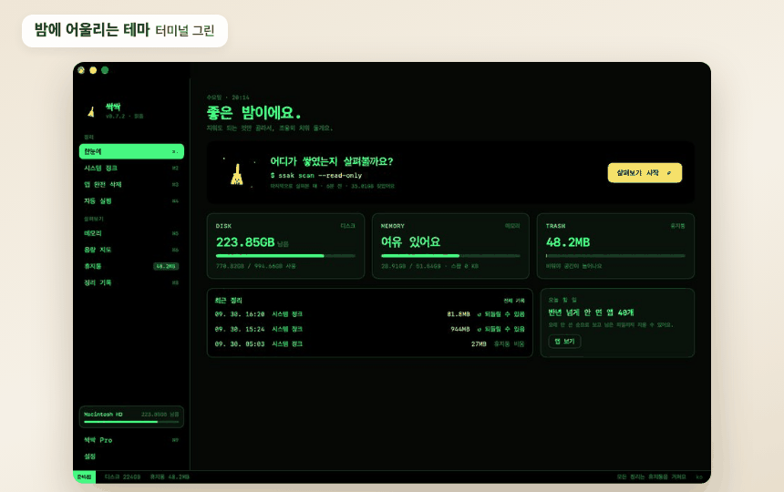 싹싹 테마 — 터미널 그린 · 앰버 모니터 · 코드 에디터 · 보랏빛 밤