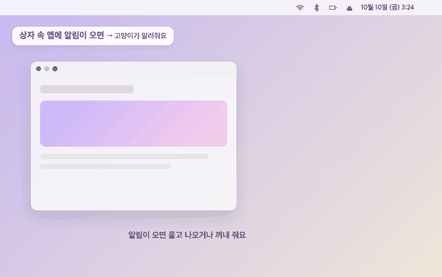 고양이가 알려줘요